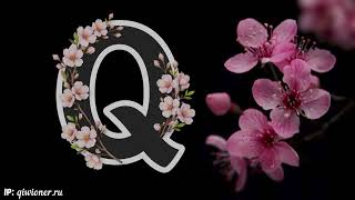 Превью видео «QiwiWorld - Vanilla SMP Trailer (1yrs anniversaly)» о сервере QiwiWord