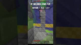 Превью видео №4 о сервере WildBox TOP БоксПвп
