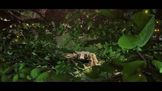 Превью видео «Explorer's haven» о сервере Explorer's Haven