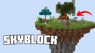 Превью видео «Hexnetwork Emek Skyblock Sunucu Tanıtımı» о сервере Hex Network