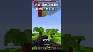 Превью видео №2 о сервере WildBox TOP БоксПвп