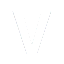 Иконка сервера VoyageEarth