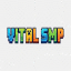Иконка сервера Vital SMP (NL)