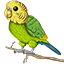 Иконка сервера Budgie Network