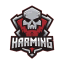 Иконка сервера Harming