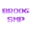 Иконка сервера BroogSMP