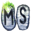 Иконка сервера MineScape