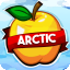Иконка сервера ArcticMC