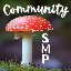 Иконка сервера Community SMP