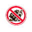 Иконка сервера No BS SMP