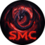 Иконка сервера Stellar-MC