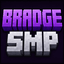 Иконка сервера Bradge SMP