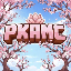 Иконка сервера PKAMC