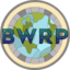 Иконка сервера Broken World RP