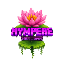 Иконка сервера NympeaeNetwork