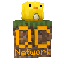 Иконка сервера QuackCraft (CA)