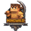 Иконка сервера MineWild