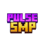 Иконка сервера PulseSMP