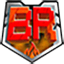 Иконка сервера Bloster