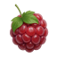 Иконка сервера MCRaspi