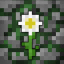Иконка сервера Neverbloom
