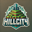 Иконка сервера Hill SMP