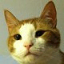 Иконка сервера CatsCraft