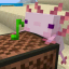 Иконка сервера Axolotl Questions SMP