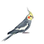 Иконка сервера Cockatiel MC