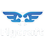 Иконка сервера FlyCraftMC