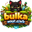 Иконка сервера BulkaServer