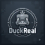 Иконка сервера duckreal