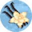 Иконка сервера Vanilla Realms