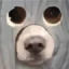 Иконка сервера TakoLOL