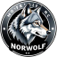 Иконка сервера NorWolf