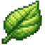 Иконка сервера LeafMC