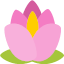 Иконка сервера BloomsCraft