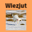 Иконка сервера Wiezjut