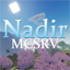 Иконка сервера Nadir