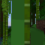 Иконка сервера Freedom SMP (2)