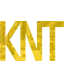 Иконка сервера KNT.LV