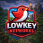 Иконка сервера Lowkey Networks