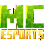 Иконка сервера Minecraft Esports