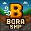 Иконка сервера Bora SMP