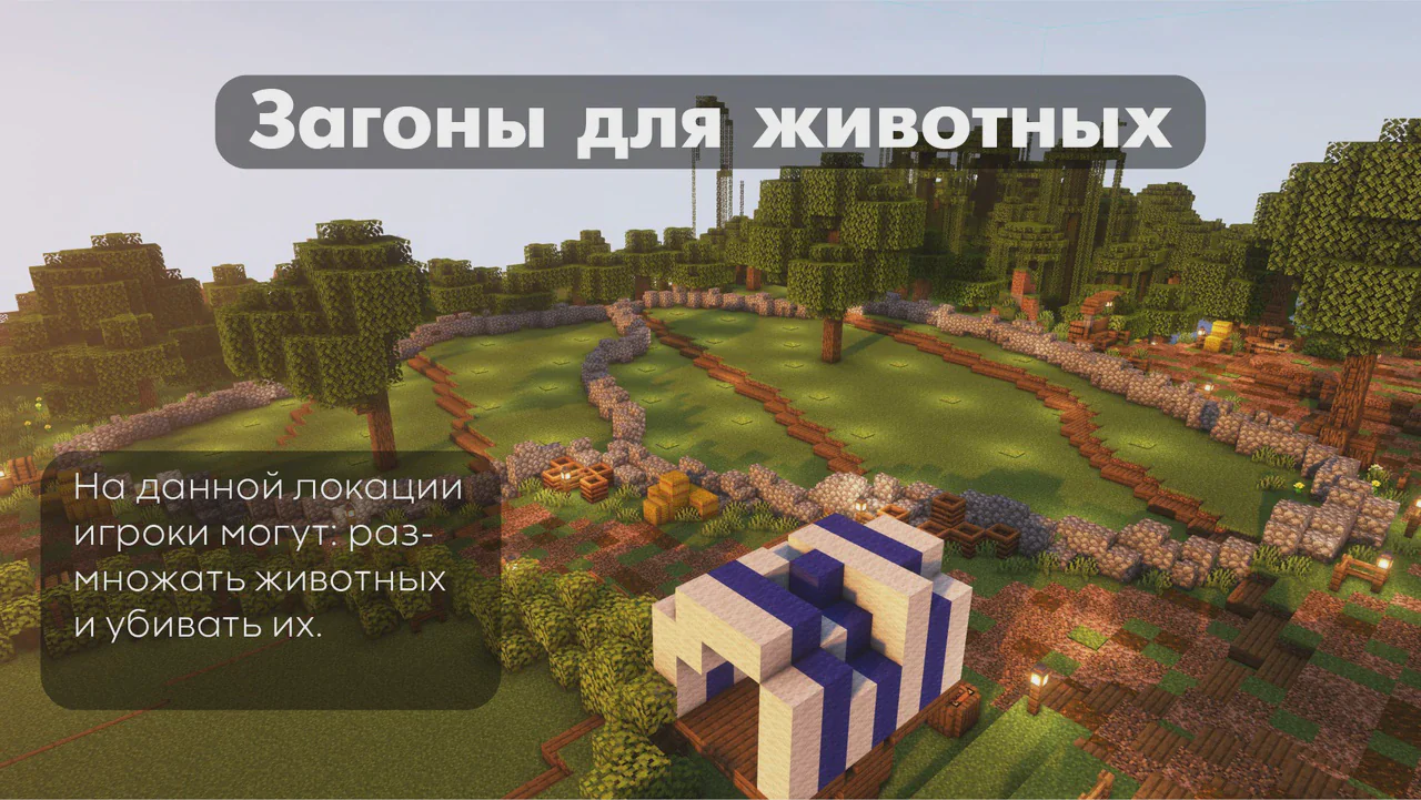 Скриншот №6 с сервера ProjectBW
