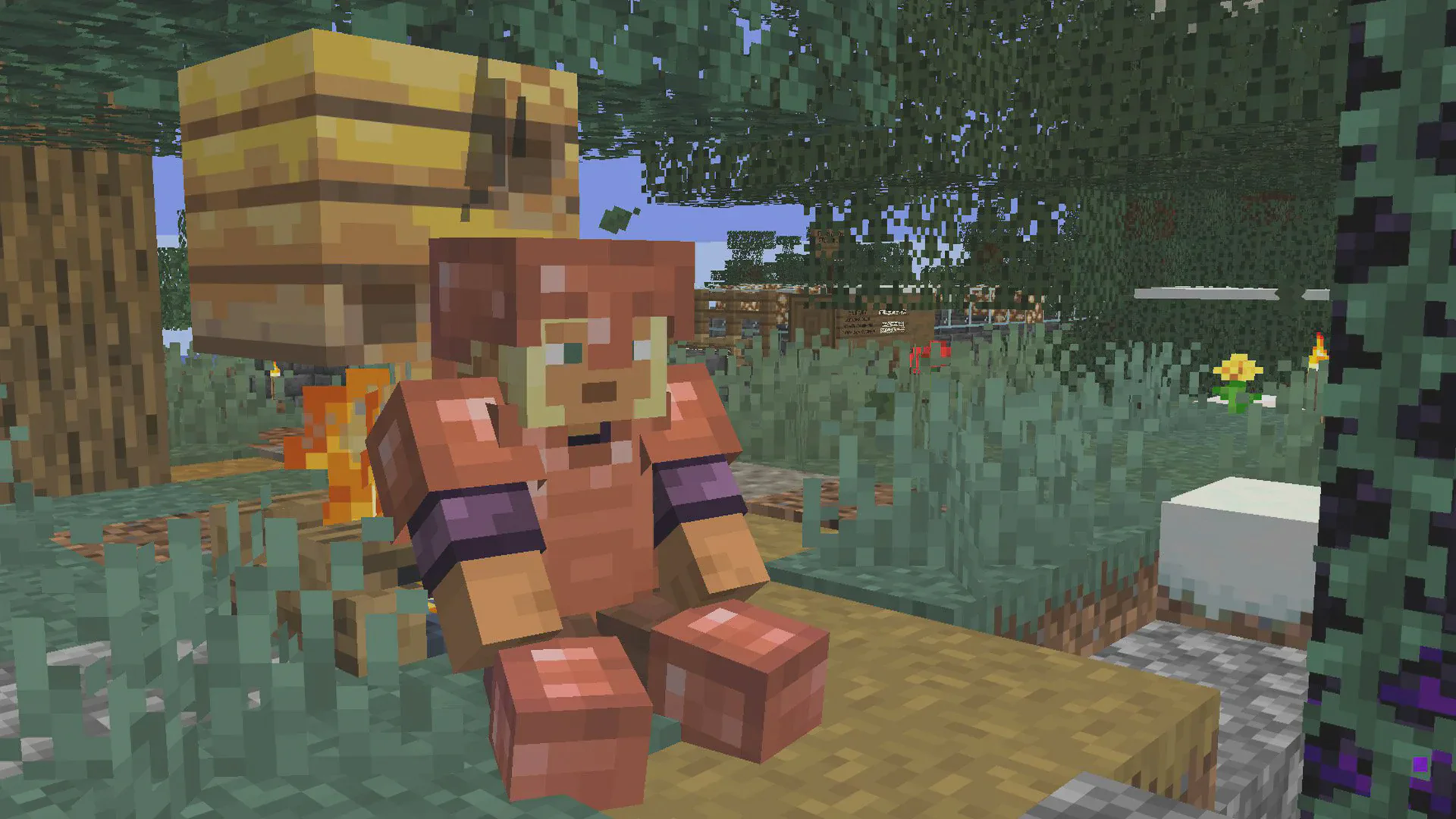 Скриншот №4 с сервера TotemCraft