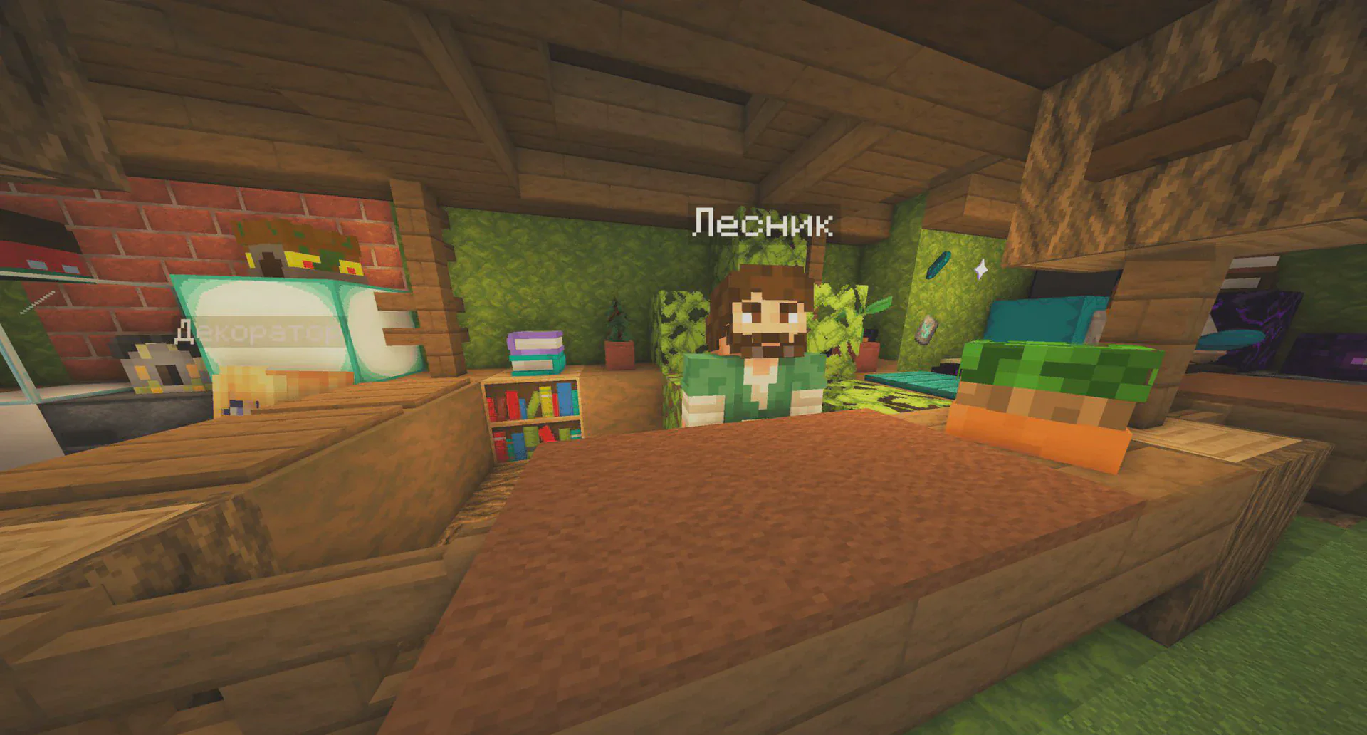 Скриншот №13 с сервера CubismSpace