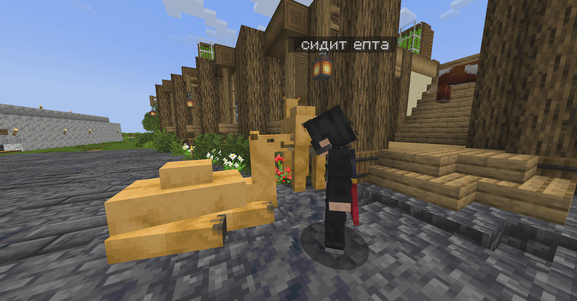 Скриншот №13 с сервера Vinerium