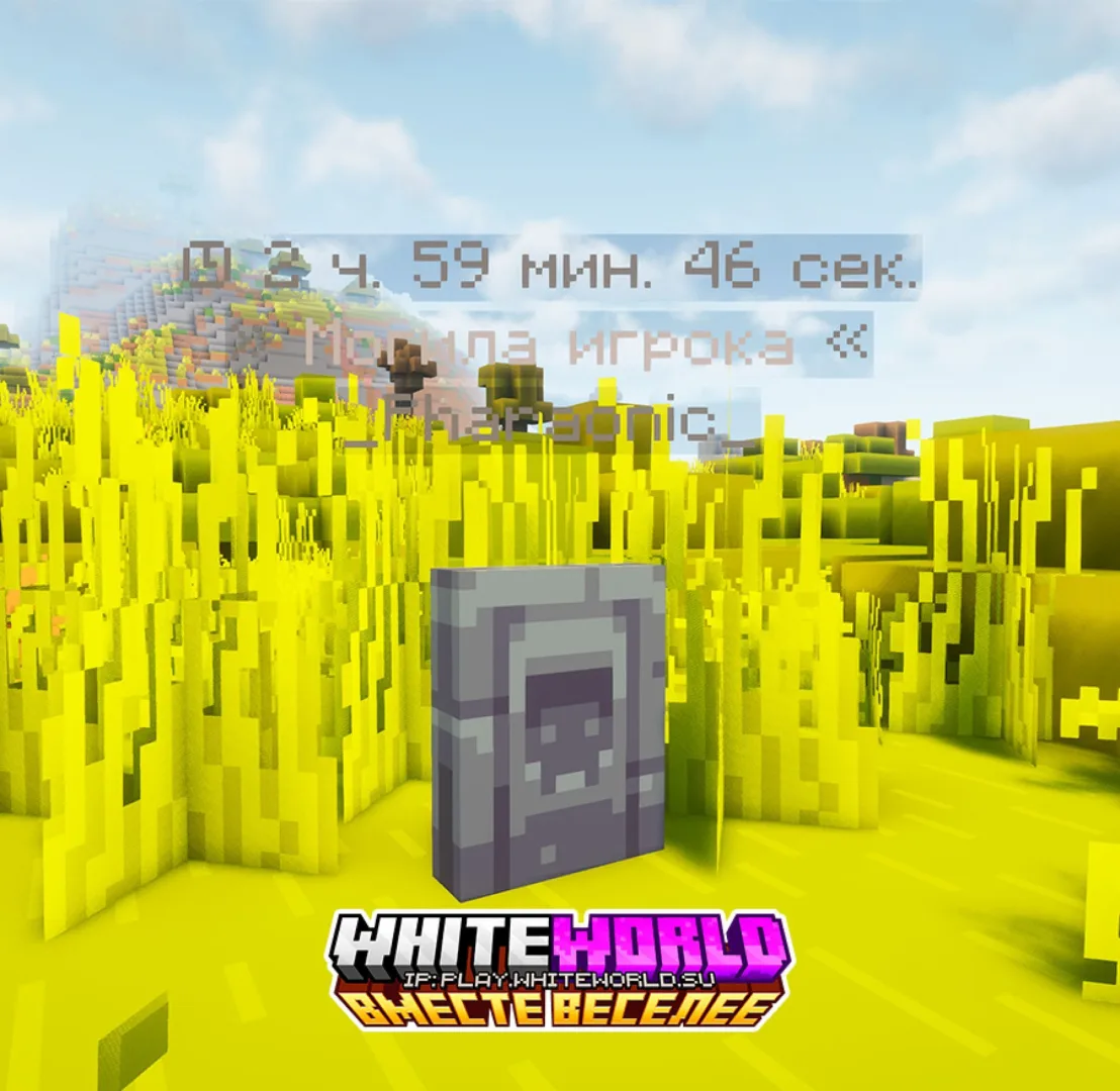 Скриншот №9 с сервера WhiteWorld