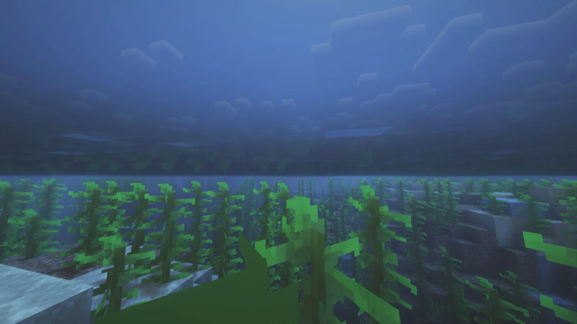 Скриншот №5 с сервера ShizCraft